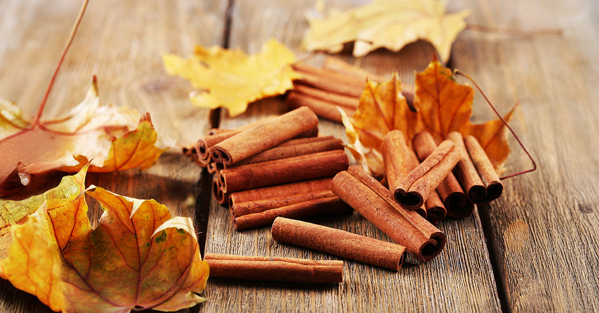 關注血糖與膽固醇 | 輔酶 CoQ10, 肉桂精華 & 魚油 | 三高護理