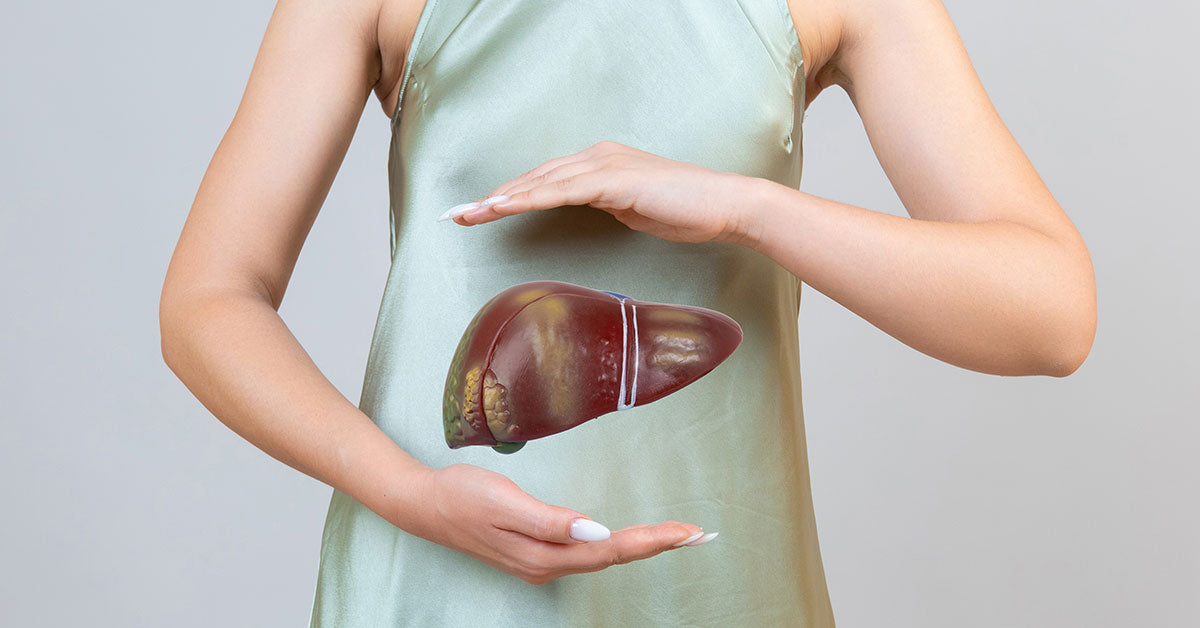 護肝排毒 Liver Detox | 乳薊草 Milk Thistle & 薑黃 | 熬夜飲酒必備