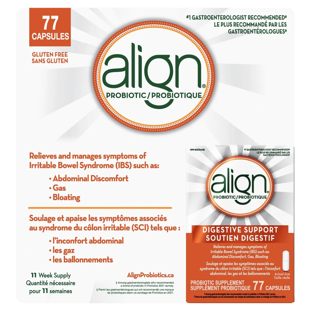Align Probiotic Supplement 益生菌補充劑 (77 粒裝) - canadahk