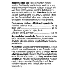 Nature's Way 接骨木果免疫支援軟糖 (含維他命C + 鋅) 120粒