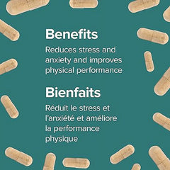 Webber Naturals 有機南非醉茄 (印度人參) 3600mg 特強配方 (240粒 超值套裝)