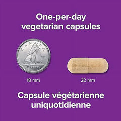 Webber Naturals 有機南非醉茄 (印度人參) 3600mg 特強配方 (240粒 超值套裝)